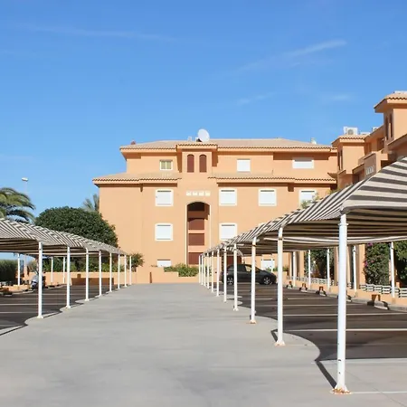 187 Palm - Deniasol *