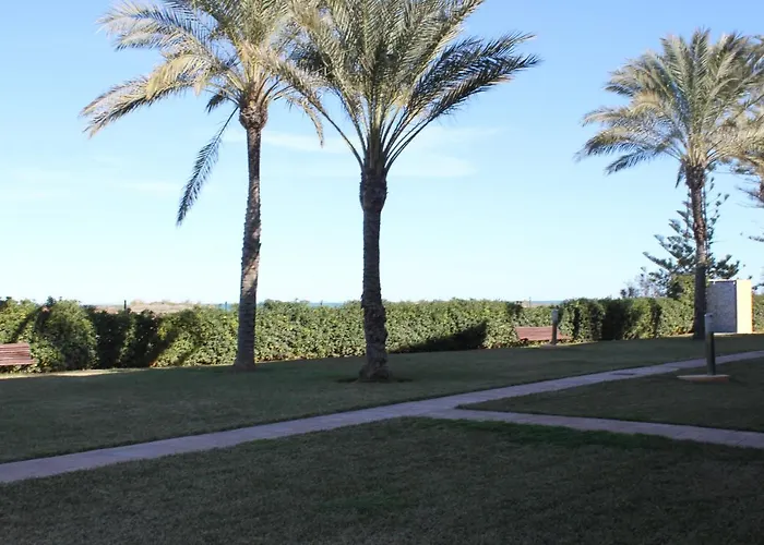 187 Palm - Deniasol Apartman