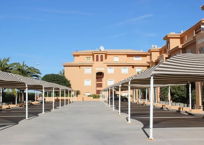 187 Palm - Deniasol *